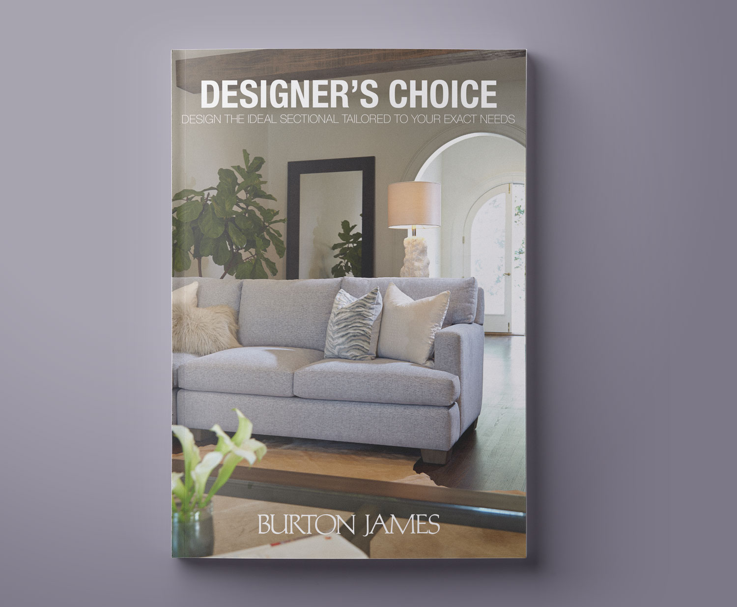629 Designer S Choice My Portfolio